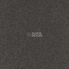 Ковролин Spark W2W 847 Spark w2w фото 1 | FLOORDEALER